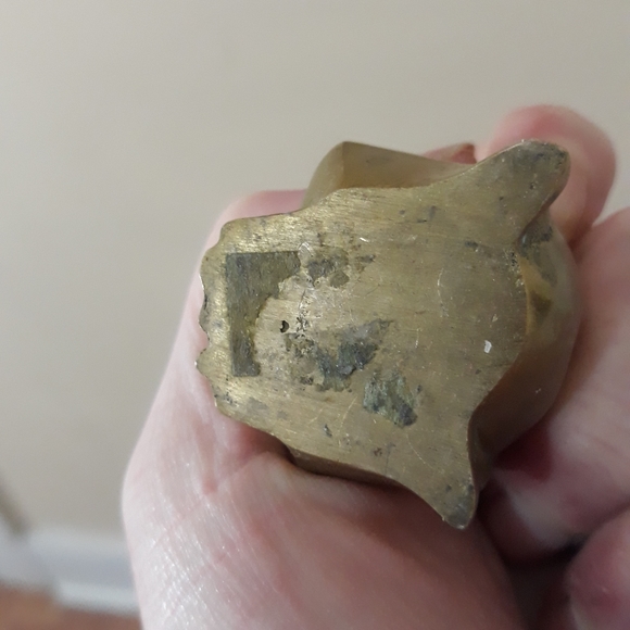 Snooty Amphibian - Picture 7 of 7